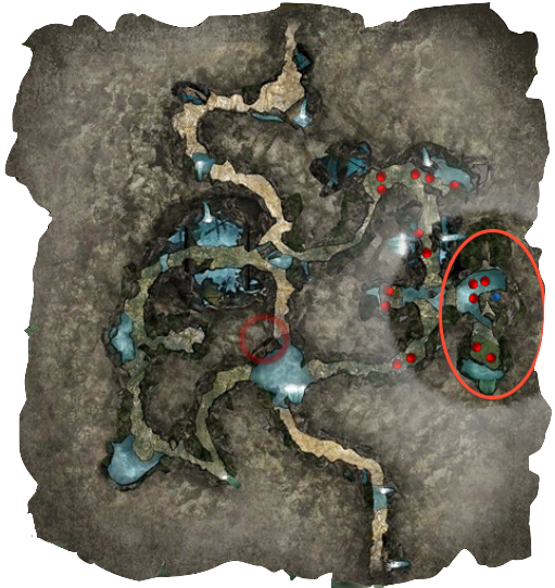 Thrall Location - Thrall Room In Cursed Caverns (511x542), Png Download