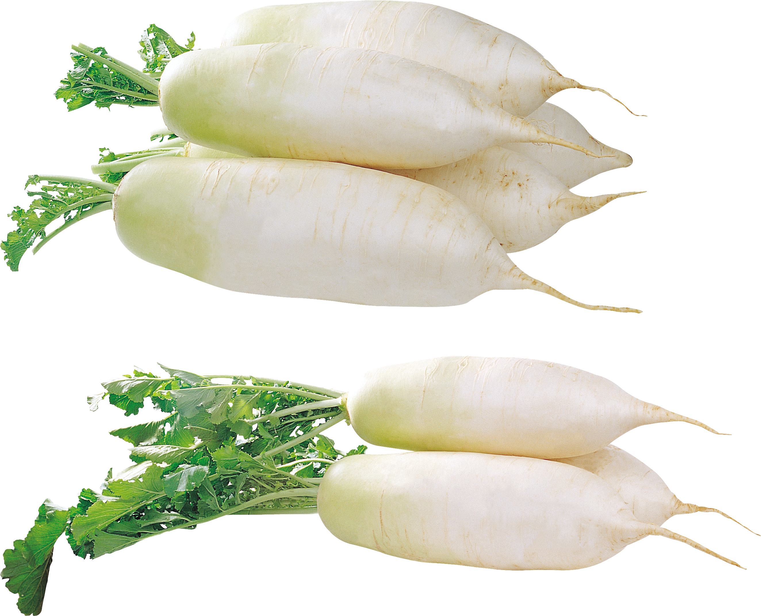 Radish Png - Daikon (2647x2141), Png Download