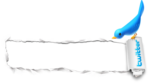 Paper Hole Bird Icon 615x343download - Twitter (615x343), Png Download