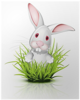 Conejo Dibujo Con Fondo Transparente (400x400), Png Download