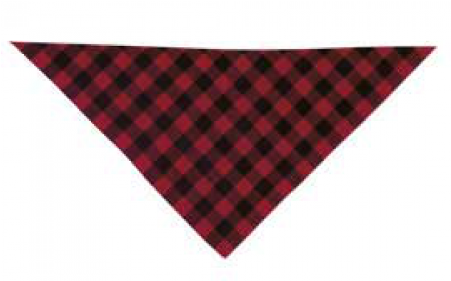 Pañuelo Para Fiestas A Cuadros - Lenço Triangular (650x650), Png Download