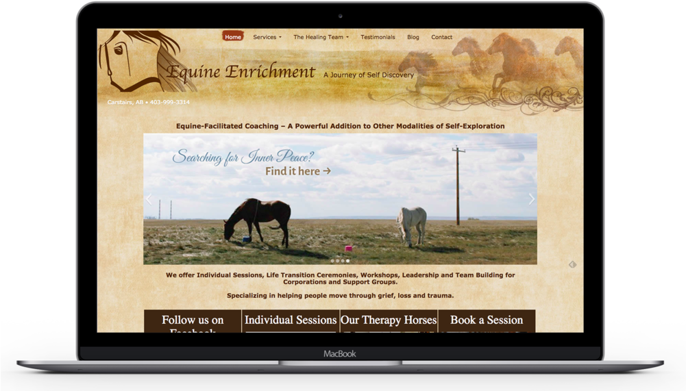 Original Equine Enrichment (1000x595), Png Download