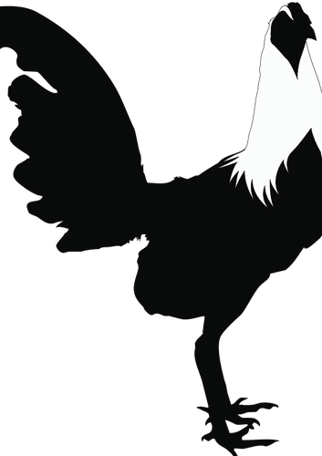 Rooster Silhouette Public Domain Vectors - Imagenes De Gallos Silueta (353x500), Png Download