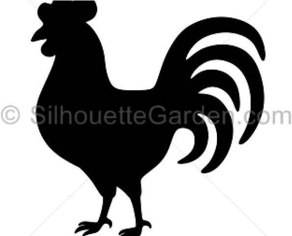 Rooster Silhouette Cliparts - Rooster (640x480), Png Download