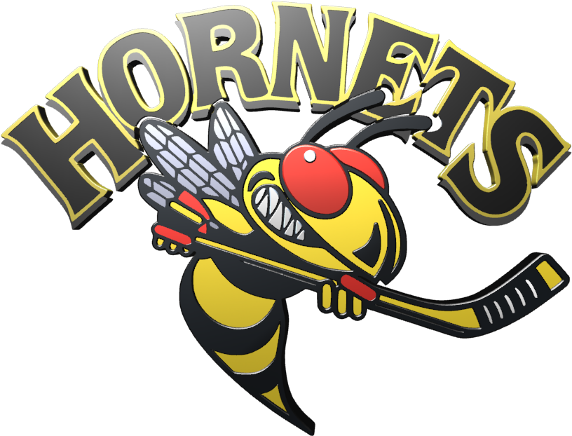 Langley Hornets Logo (822x637), Png Download
