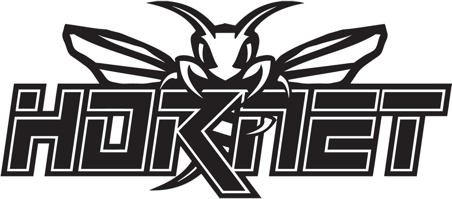 Black And White Hornet Logo Pictures To Pin On Pinterest - Peter Lynn Hornet Iv Power Kite (900x441), Png Download