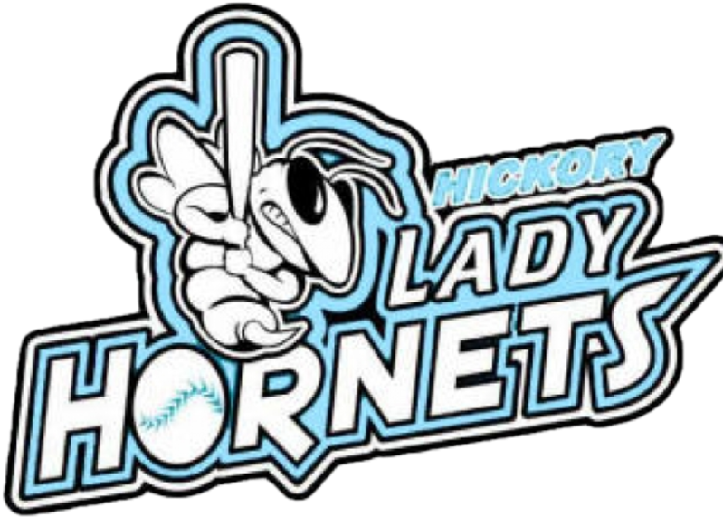 Hickory Hornets Softball - Hickory Lady Hornets (800x592), Png Download