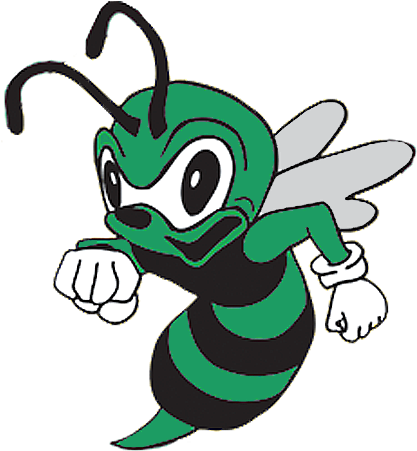 Primary Logo - Scsdb Hornet (750x450), Png Download