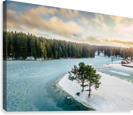 Aerial Photo Of The Frozen River Canvas Print - Shortleaf Black Spruce (429x372), Png Download