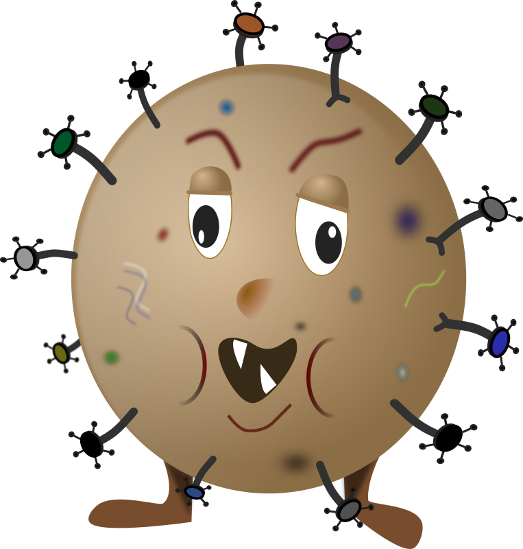 Medium Image - Germs Clip Art (763x800), Png Download