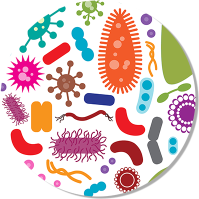 2017 Pipette By Numbers - Human Microbiome Clip Art (413x415), Png Download