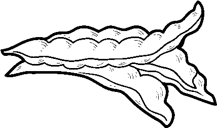 Green Bean Coloring Page - Dibujos De Habichuelas Para Colorear (600x470), Png Download