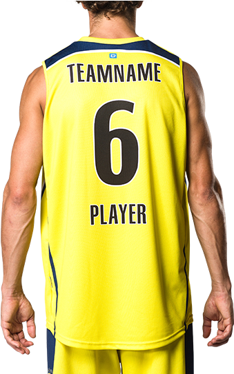 B5 Pro Jerseys Back View - Jersey (482x542), Png Download