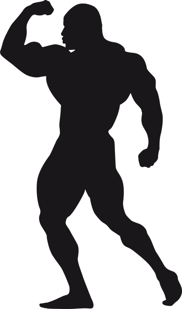 Bodybuilding Stickers Messages Sticker-10 - Sticker (589x1000), Png Download