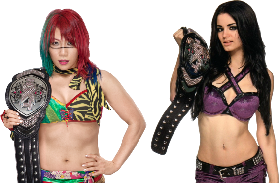The Wwe Horsewomen Vs - Wwe Paige Belt (600x370), Png Download