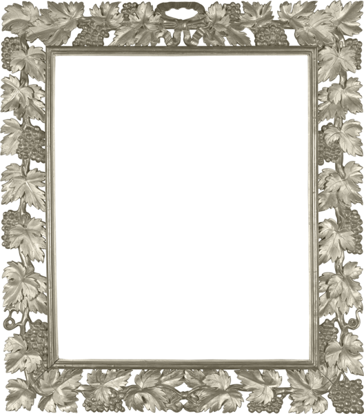Silver Transparent Png Photo Frame With Vine - Silver Picture Frame Png (528x600), Png Download