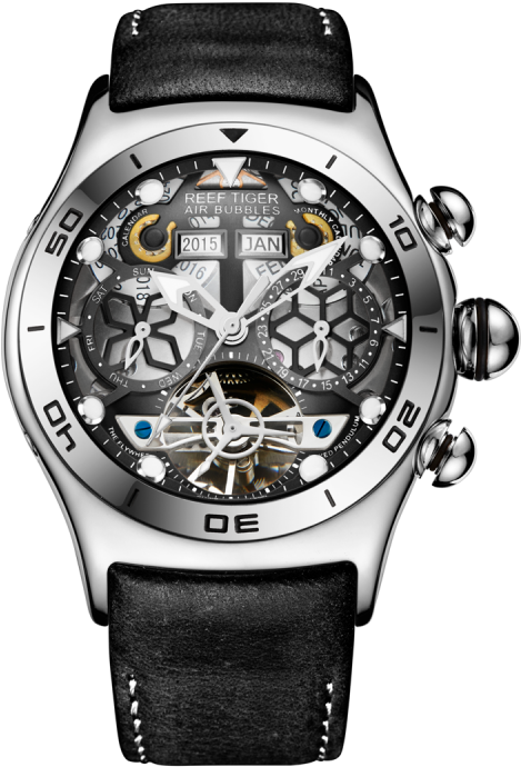 Reef Tiger Rga703 (800x800), Png Download