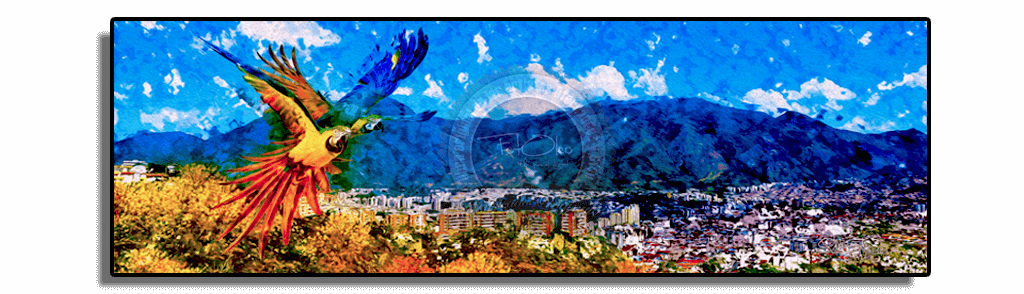 El Avila Y Guacamayas De Caracas Venezuela (1024x294), Png Download