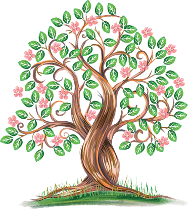 Vinilo Decorativo Árbol Acuarela - Watercolor Peach Tree Clipart (374x412), Png Download