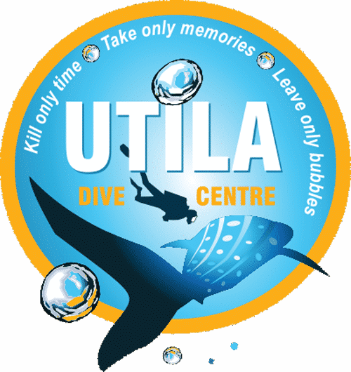 Picture - Utila Dive Center (500x530), Png Download