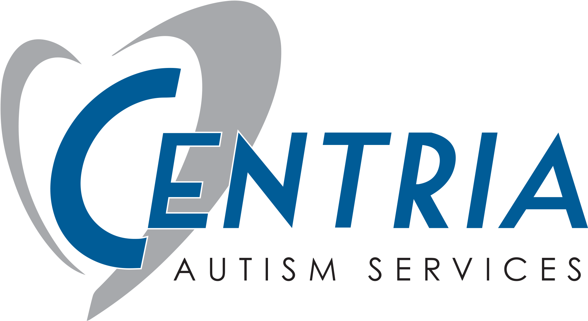 Dallas Walk Autism Speaks Walk Png Autism Speaks Donation - Centria Healthcare Autism (2400x1242), Png Download