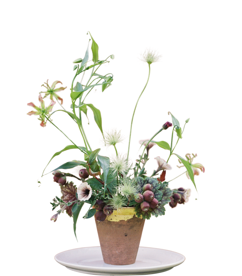 Flowers And White Plate2 - Orchids (1000x1182), Png Download