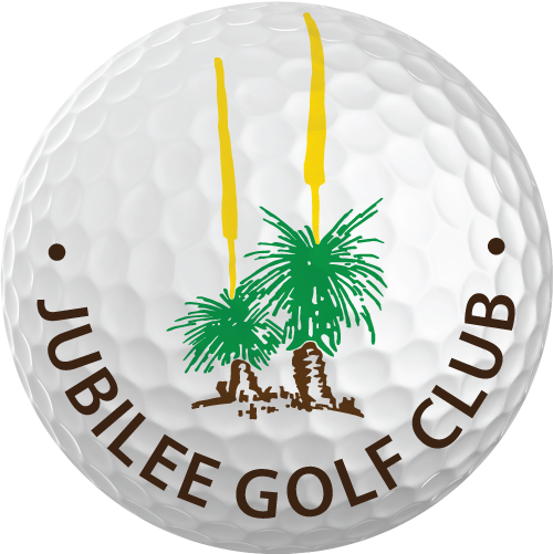 Golf Ball Logo Recoloured - Golf Ball (500x501), Png Download