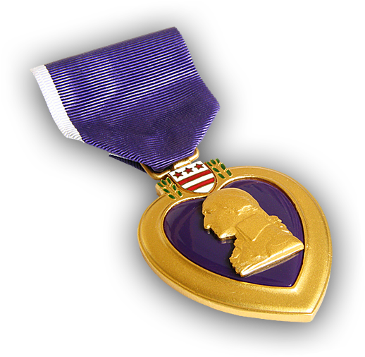 Support Us - Medal To The Wounded In Combat (539x527), Png Download