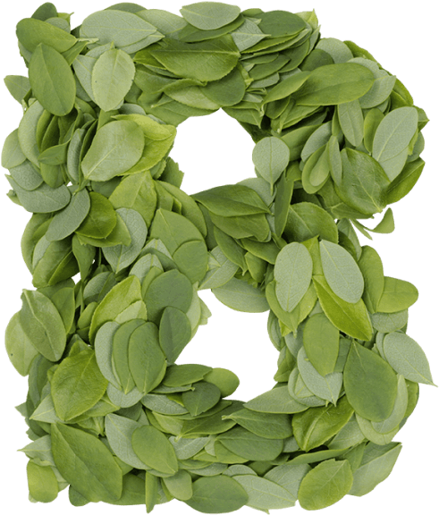 Summer Leaves Font - Font (595x595), Png Download