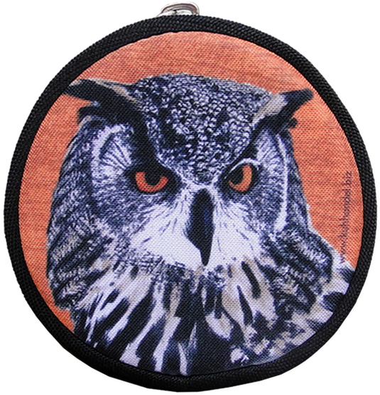 Hedwig, Owl Purse Xs - Eagle Owl (800x600), Png Download
