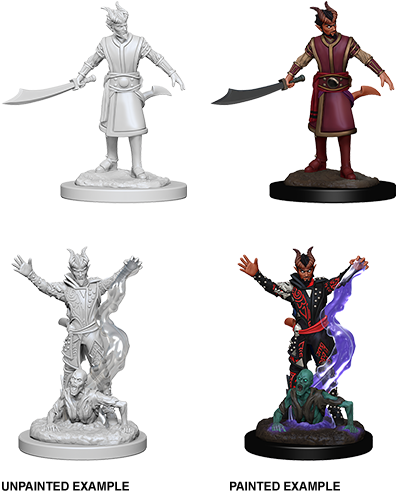 D&d Nolzurs Marvelous Miniatures Male Tiefling Warlock - Tiefling Warlock Miniature (450x551), Png Download