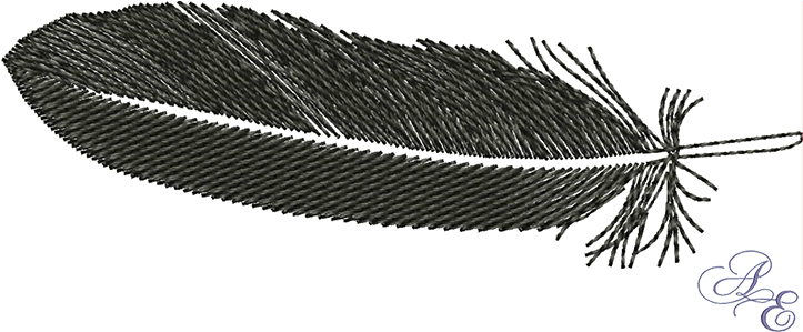 Raven Feather Small - Raven Feather (722x361), Png Download