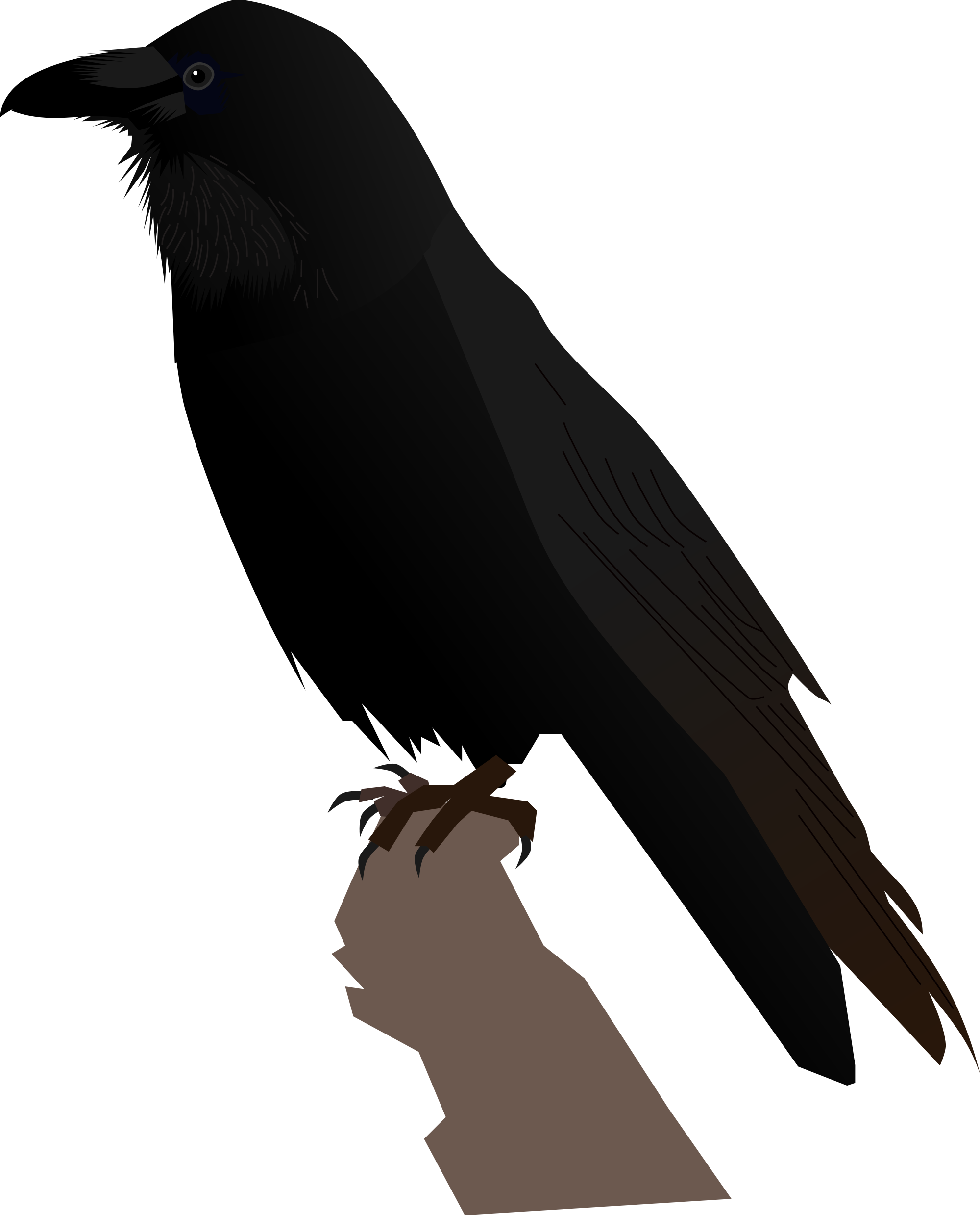 Open - Raven Creative Commons (2000x2477), Png Download