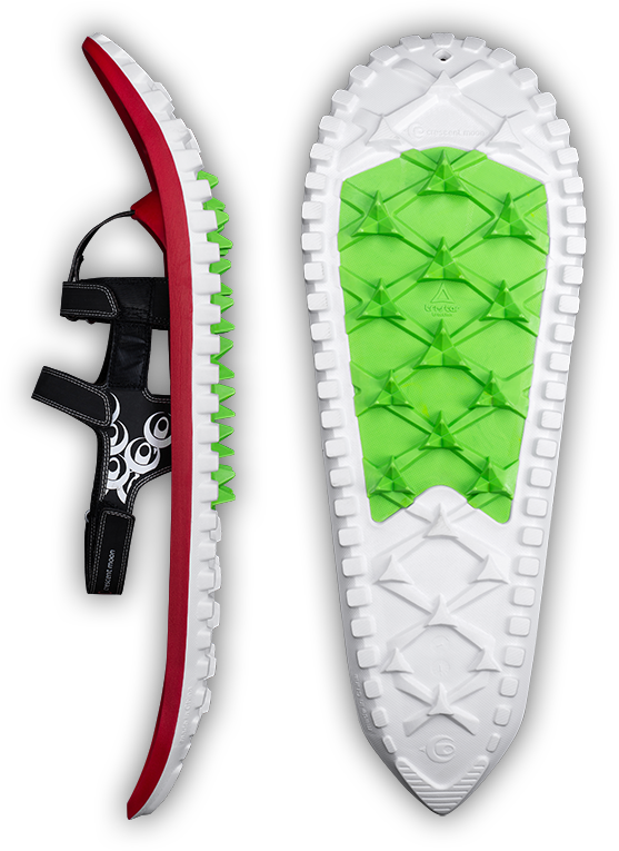 Eva Foam Snowshoes - Crescent Moon Eva Snowshoe (557x765), Png Download
