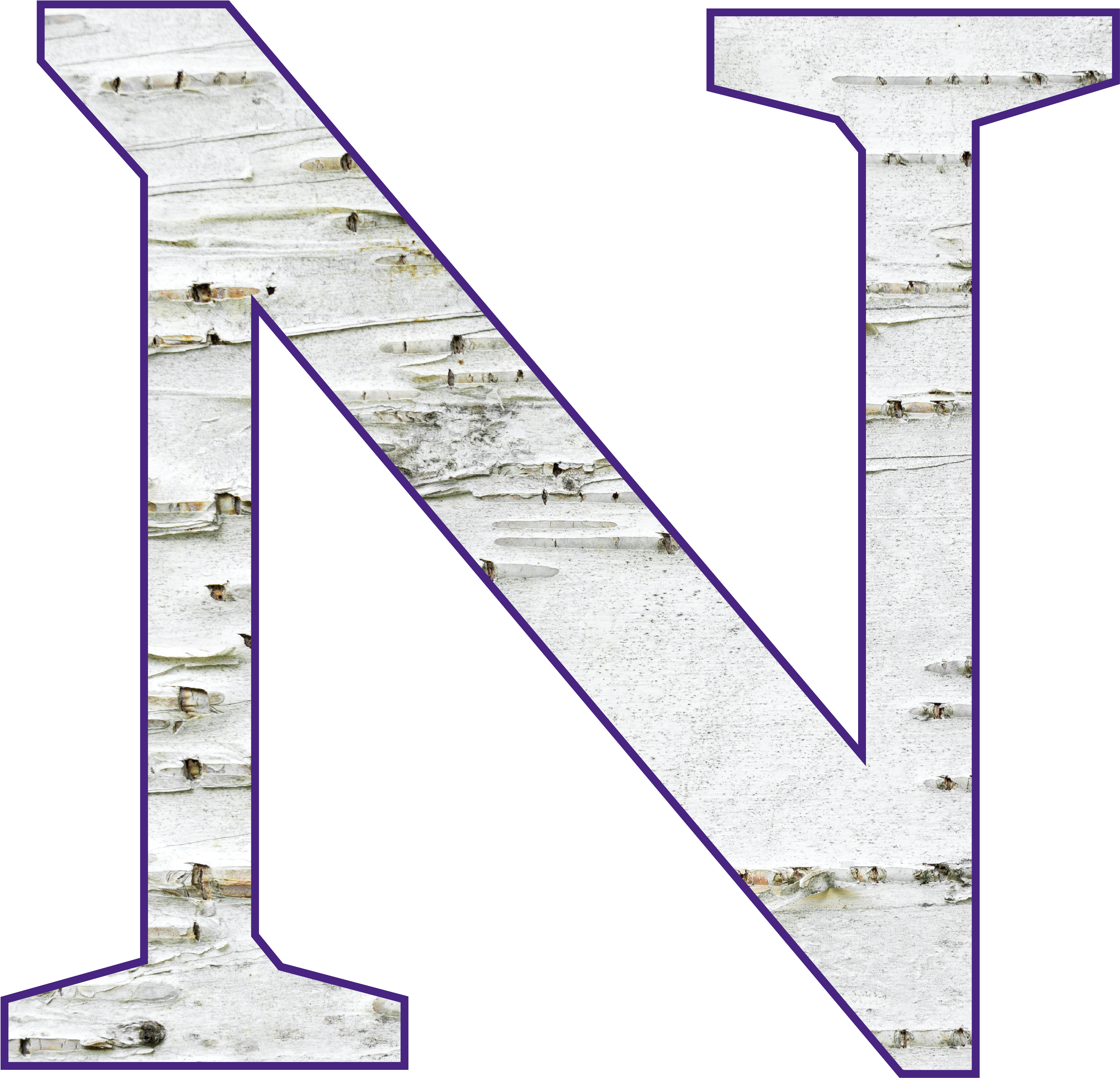 Birch With Purple Outline - N Fire Letter (4987x4987), Png Download