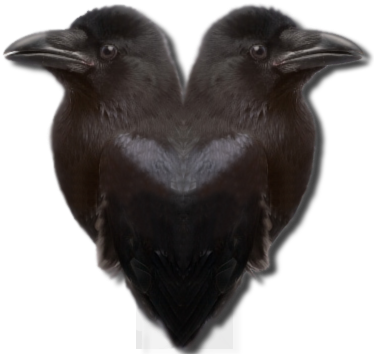 The Concept For Ravens - Wiccan On Transparent (380x390), Png Download