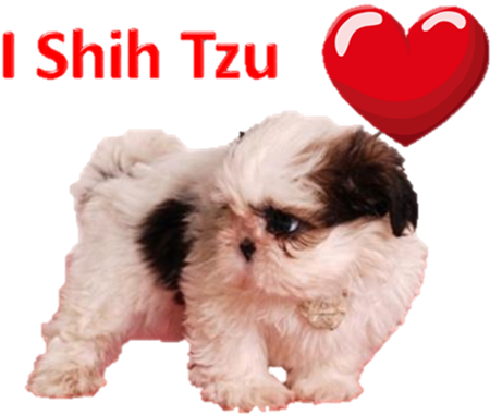 Anime & Games Accessories - Mal-shi (629x406), Png Download