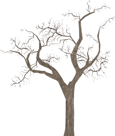 Leafless Tree - Zoo Tycoon 2 (444x444), Png Download