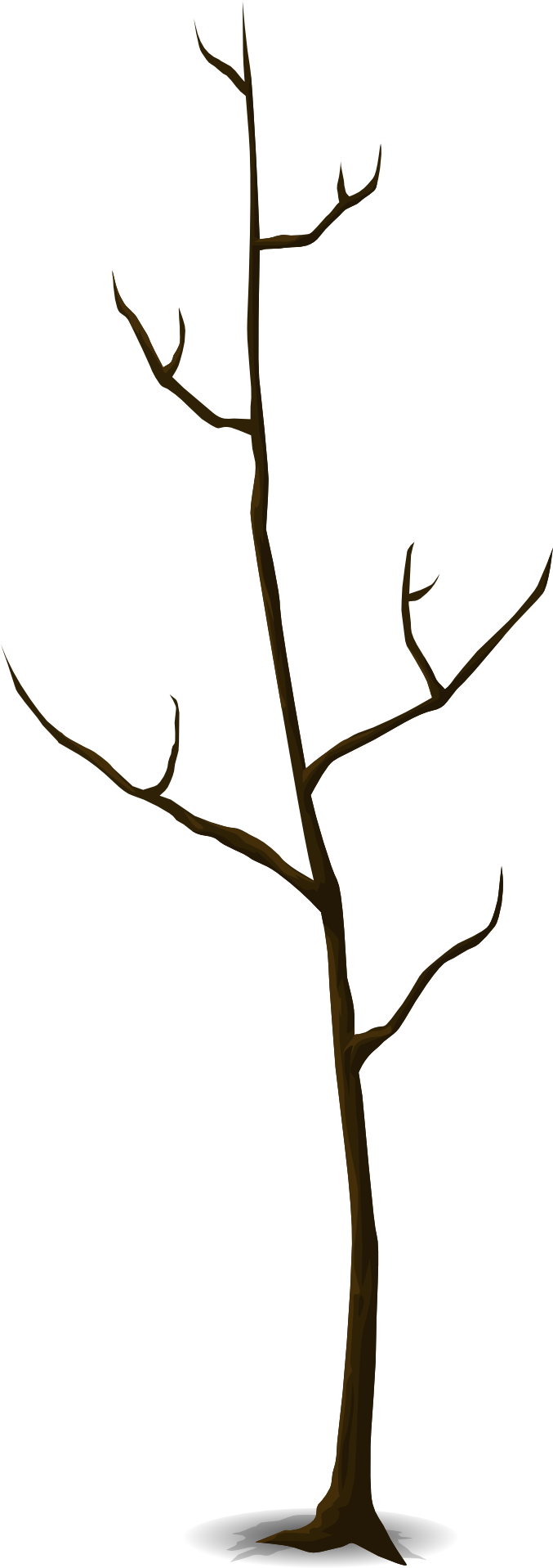 Drawing Of A Leafless Tree - Tree (960x1920), Png Download