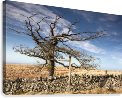 Northumberland, England - Printscapes Wall Art: 18" X 12" Canvas Print With Black (429x344), Png Download