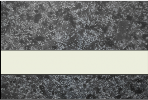 Ipi Architectural Stones Gloss Deep Charcoal Marble/bone - Marble (500x588), Png Download