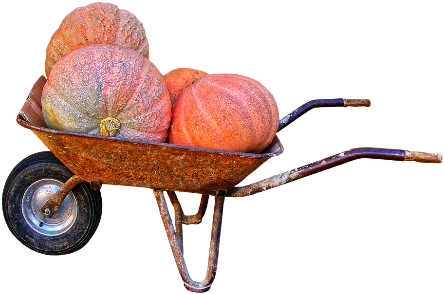 Pumpkin, Giant Pumpkin, Wheelbarrow, Autumn - Persimmon (960x640), Png Download