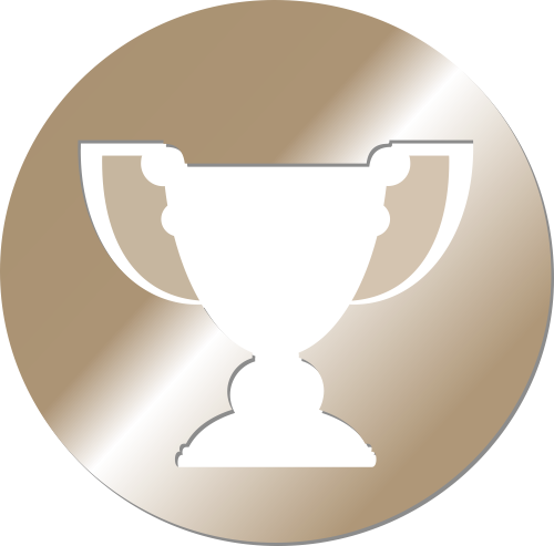 Bronze Level Supporter Of Tournr - Trophy (500x493), Png Download