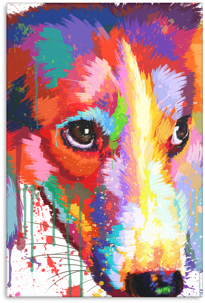 Border Collie Canvas A70 - Border Collie (1024x1024), Png Download