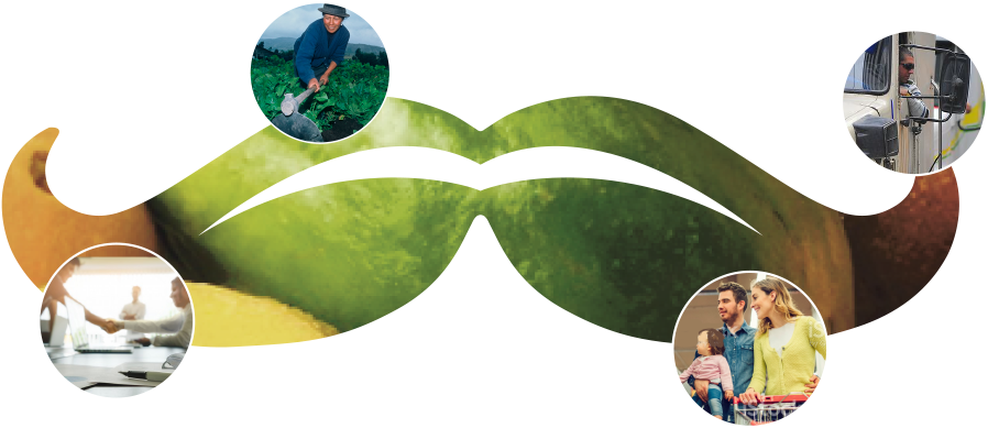 Leisure (940x413), Png Download