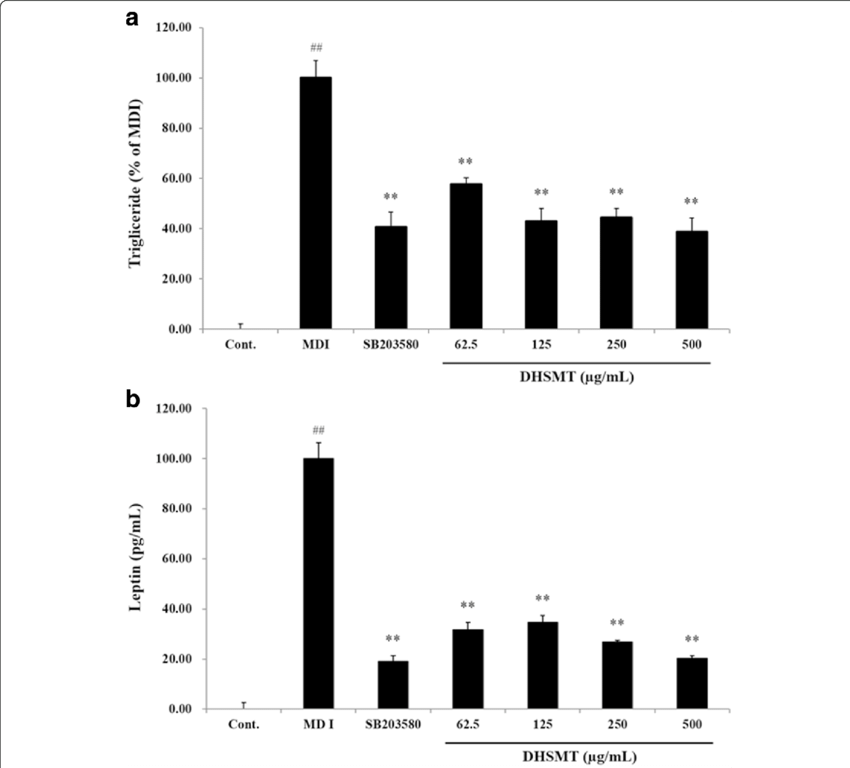 Nhibitory Effect Of Dhsmt On Triglyceride And Leptin - 3t3-l1 (850x768), Png Download