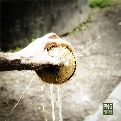 Virgin Coconut Oil From Vunakanau East New Britain - New Britain (627x418), Png Download