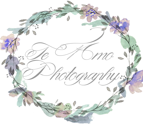 Te Amo Photography - Bellflower (565x800), Png Download