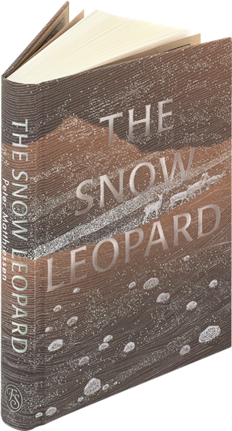 The Snow Leopard (700x700), Png Download