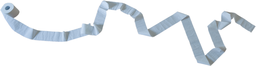 Toilet Paper Png Background Image - Toilet Paper Png Transparent (900x278), Png Download